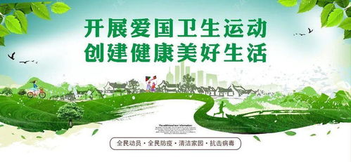 網格化管理護古韻，環境治理展新顏——大理鎮構筑精細化市容管理矩陣